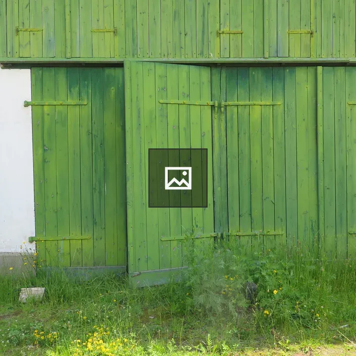 Green doors on building
