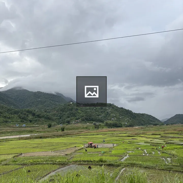 Rice paddies under cloudy sky
