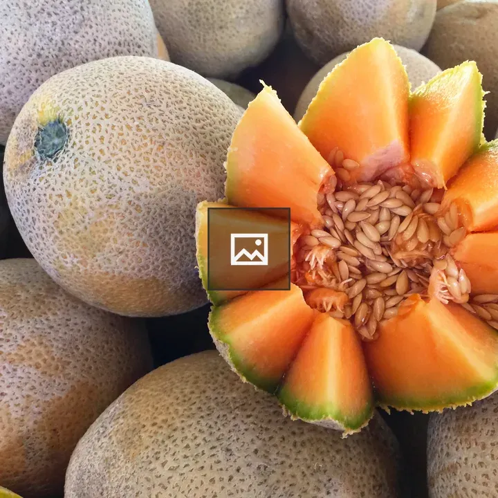 Fresh cantaloupe with seeds