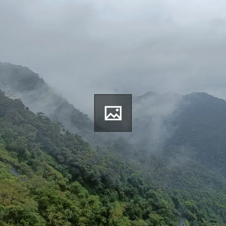 Mist on Mountain Road
