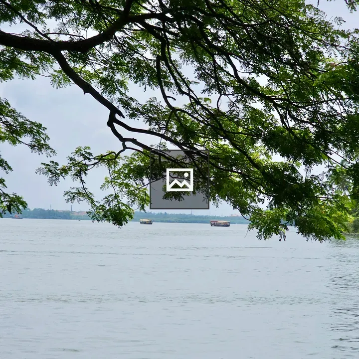 Chaliyar River View