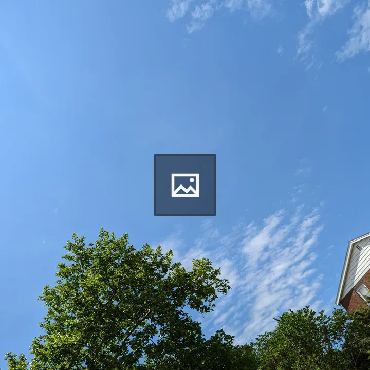 Blue Sky Above Treeline