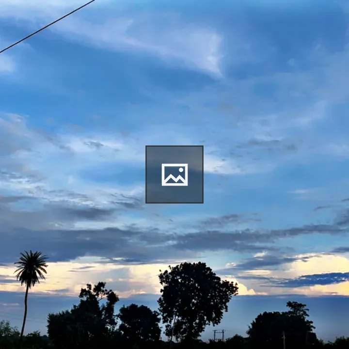 Sky and Trees at Dusk