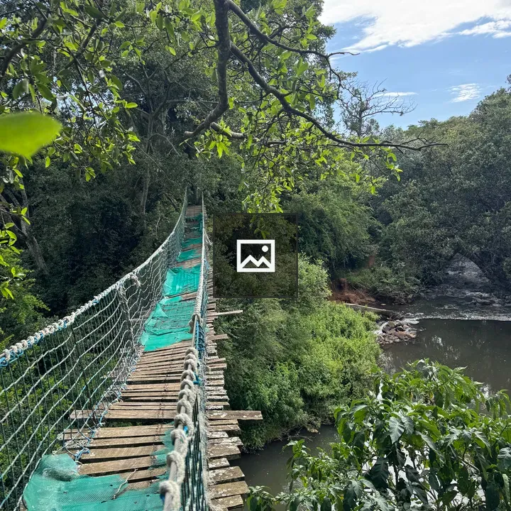 Rope and Plank Bridge Over River