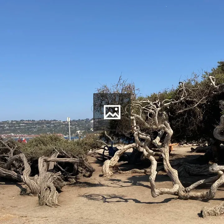 Ellen Browning Scripps Park scene
