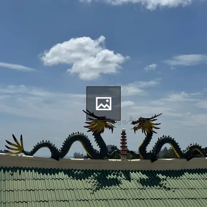 Temple Rooftop Dragons