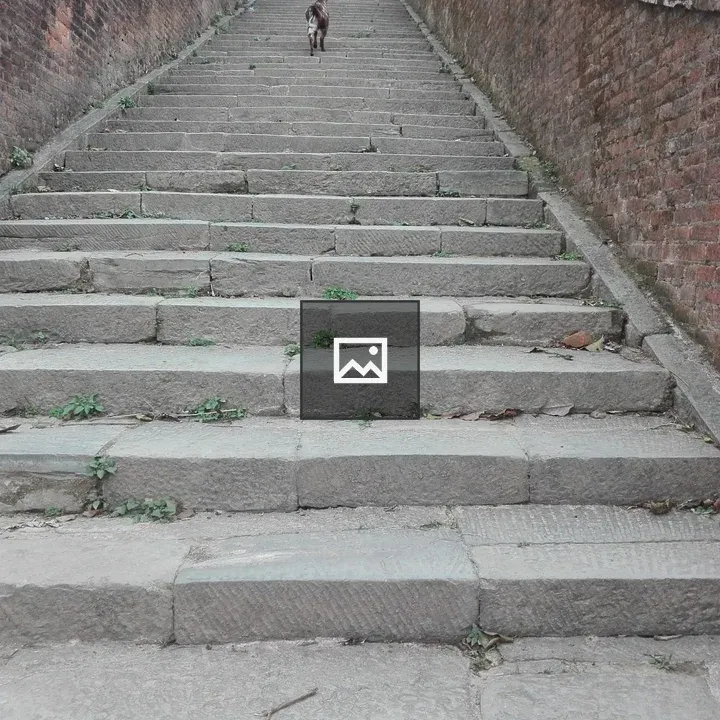 Goat Climbing Staircase