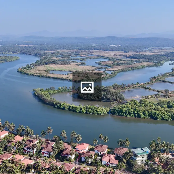 Sal River Mangroves in Goa