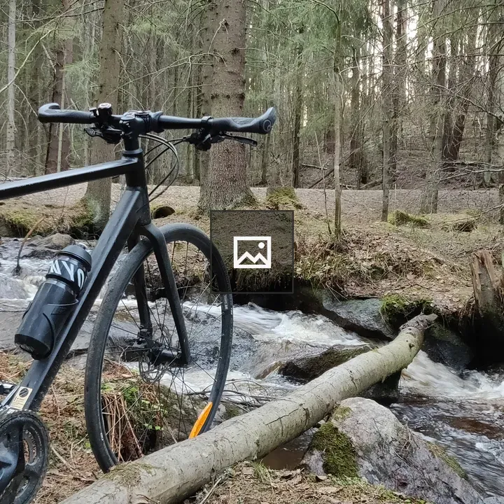 Bicycle by Forest Stream