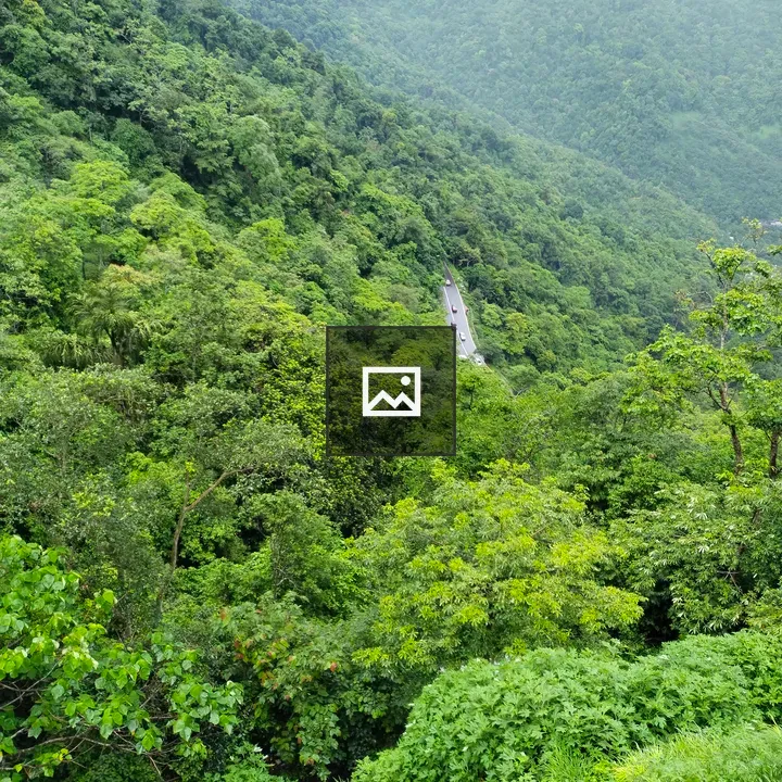 Thamarassery Churam View