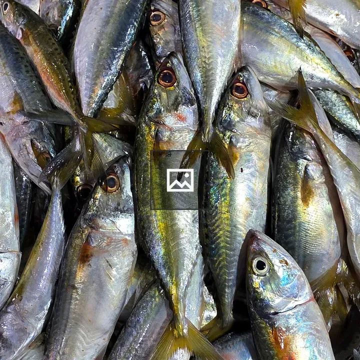 Close-up of fish pile