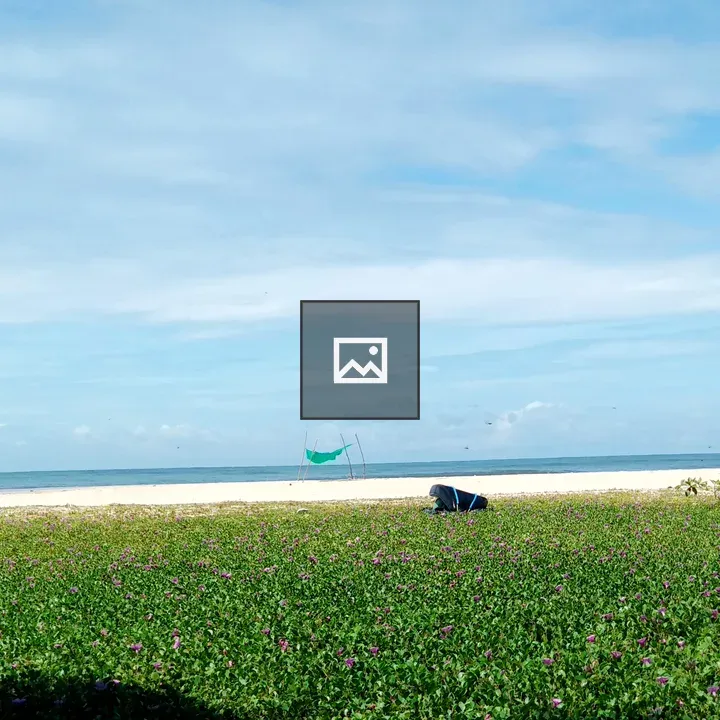Sandy coast with beach blossoms