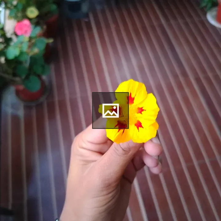 Person with bright yellow flower
