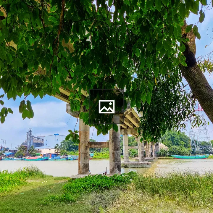 Bridge and river view under tree
