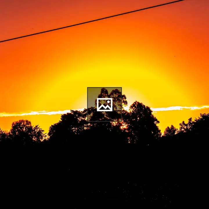 Sunset Silhouette Over Trees