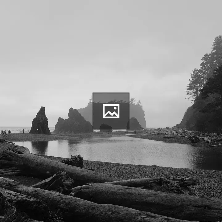 Shoreline in Black and White