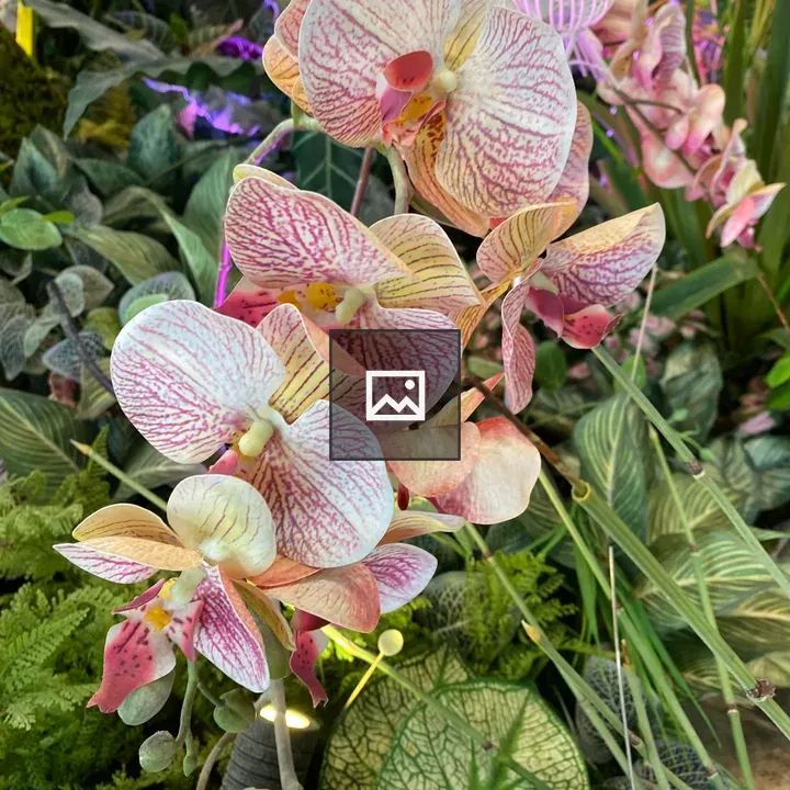 Bunch of flowers in a vase