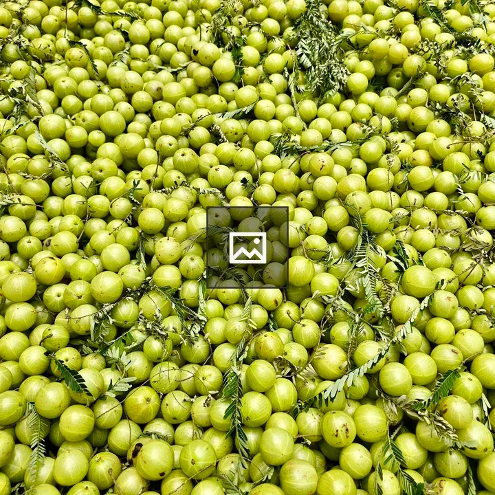 Gooseberries for Sale