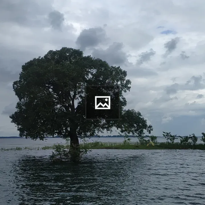 Flooded landscape with tree and grass