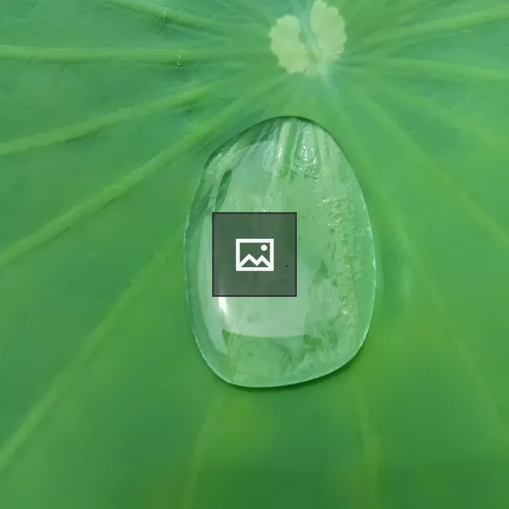 Raindrop on Lotus Leaf