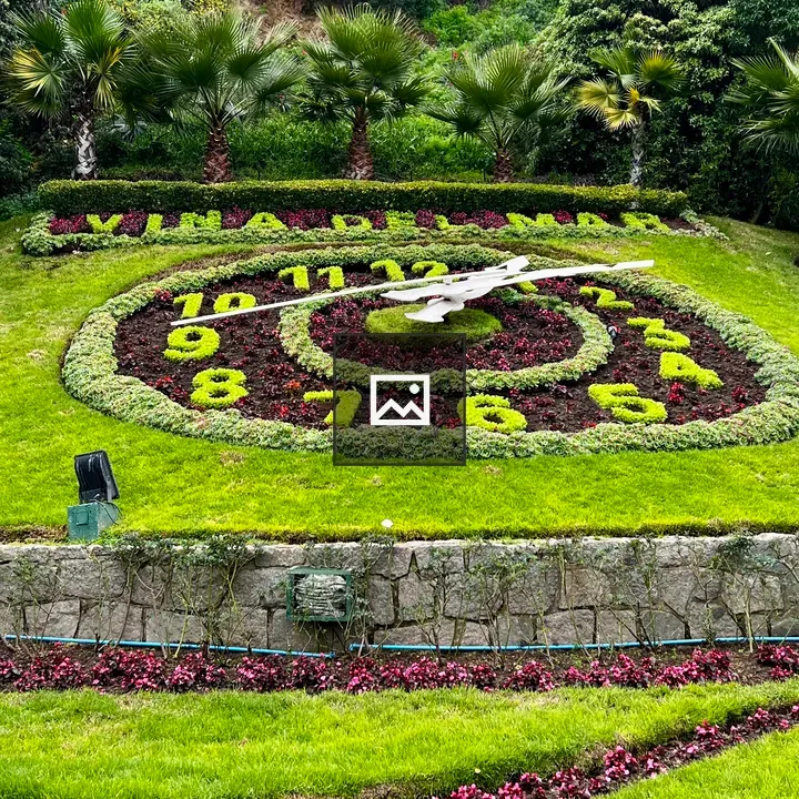 Floral clock with airplane centerpiece