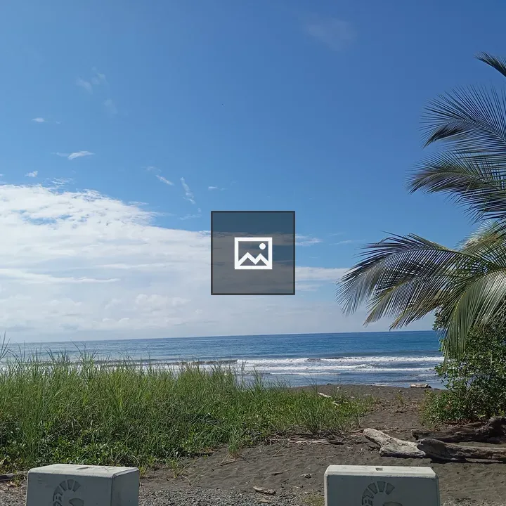 Tropical Beach with Palm Framing