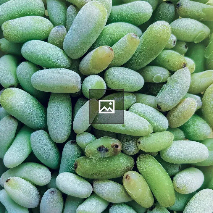 Frozen green grapes close-up