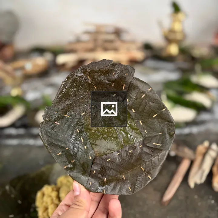 Tapari Made from Dark Green Leaves