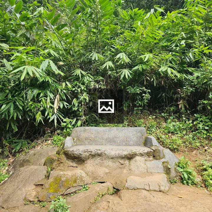 Rustic stone bench by bamboo trail