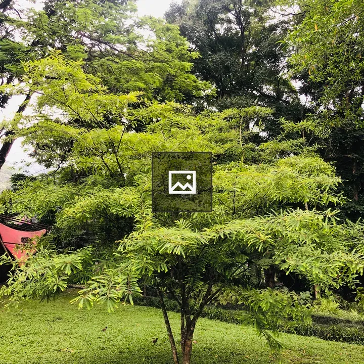 Botanical plant in Sikkim garden