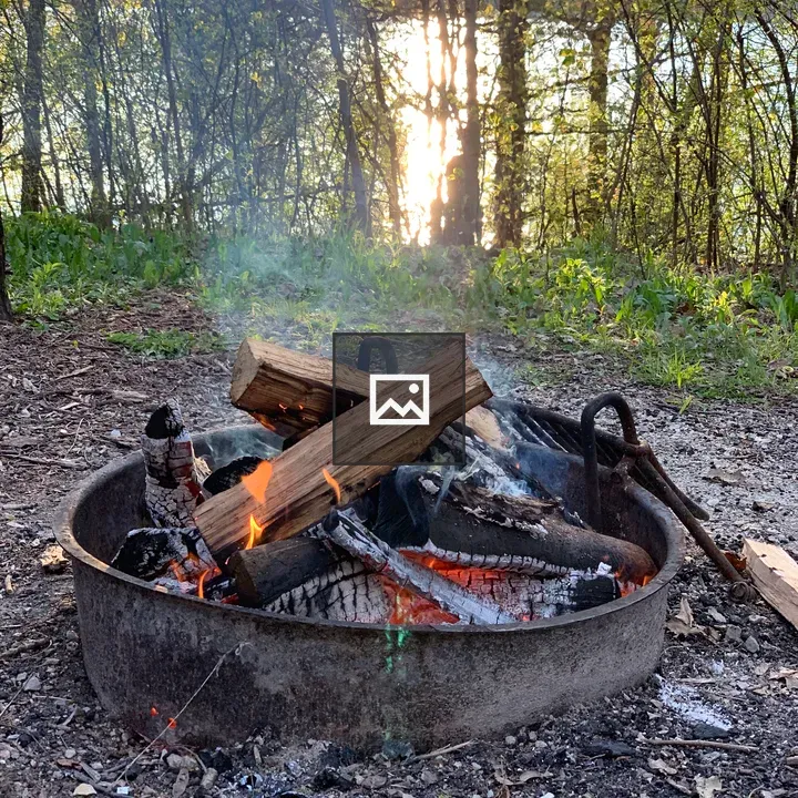 Campfire in a metal ring by a lake