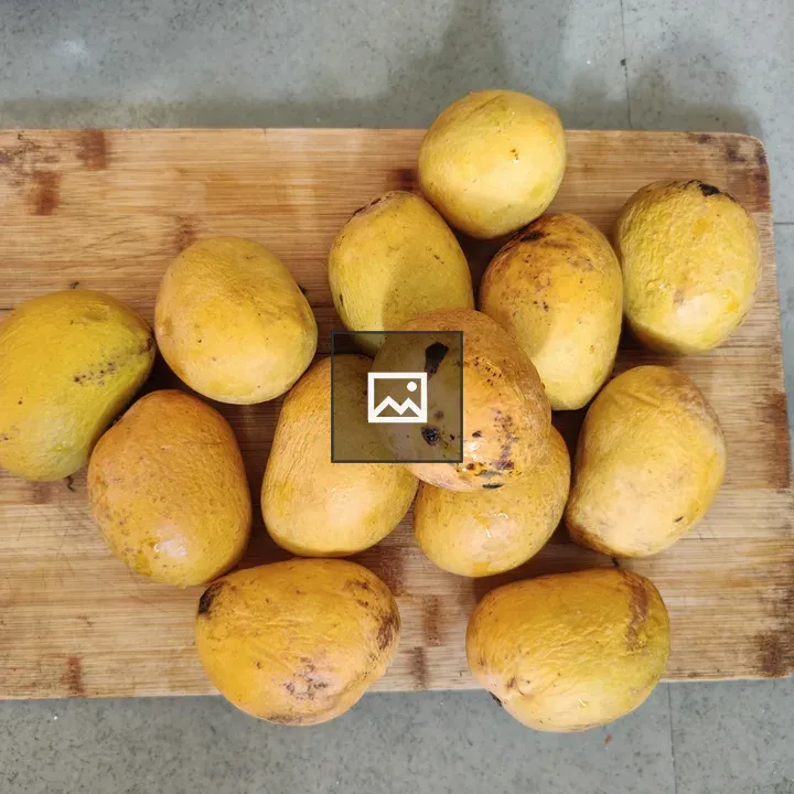 Fresh Ready Alphonso Mangoes