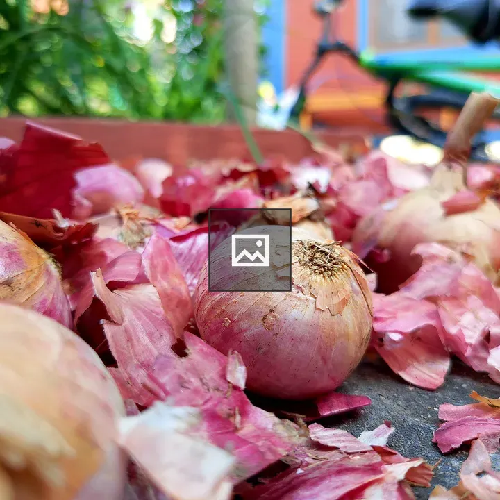Close-up Red Onions