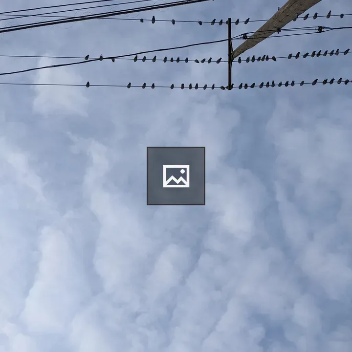 Sky with Birds on Power Line