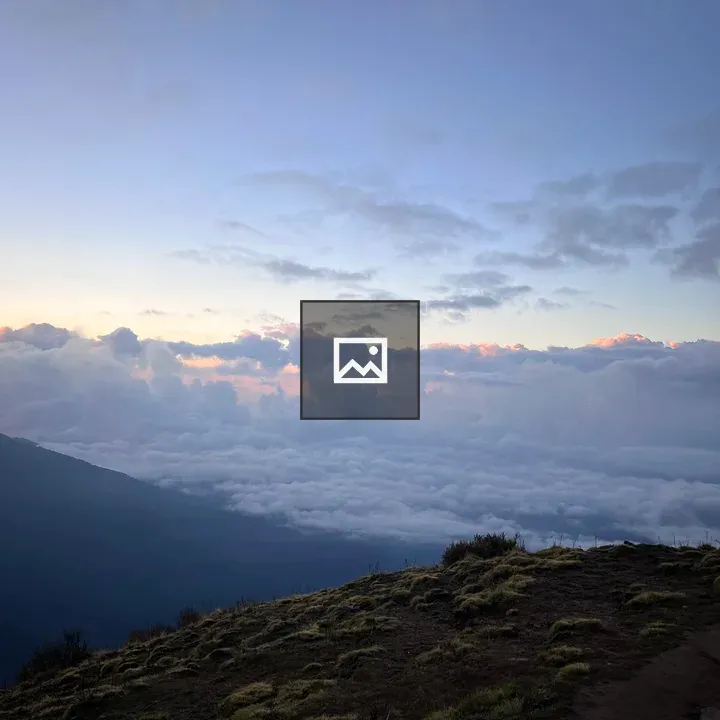 Grassy hillside landscape at sunset