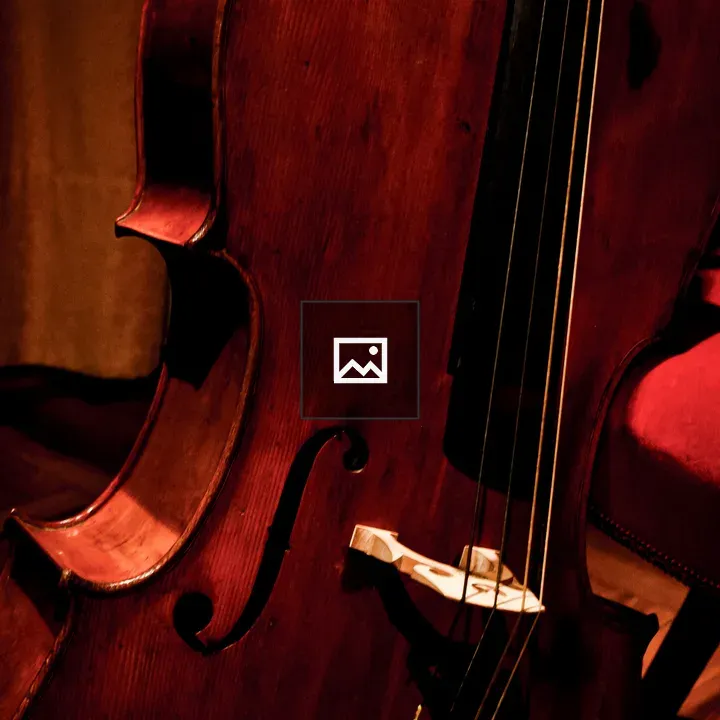 Detail of a Violoncello