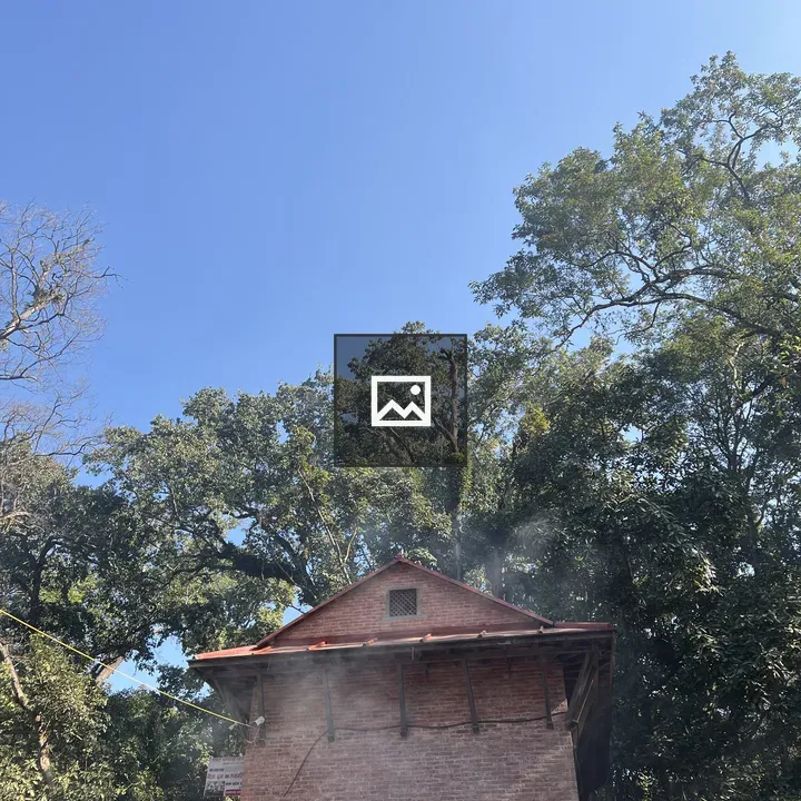Brick Building with Trees