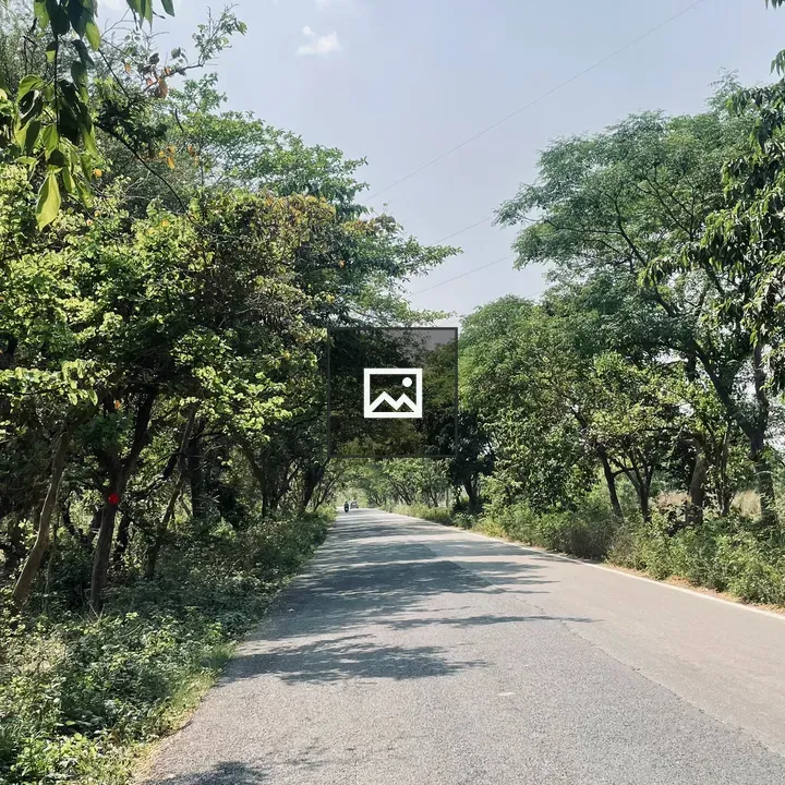 Countryside road in India