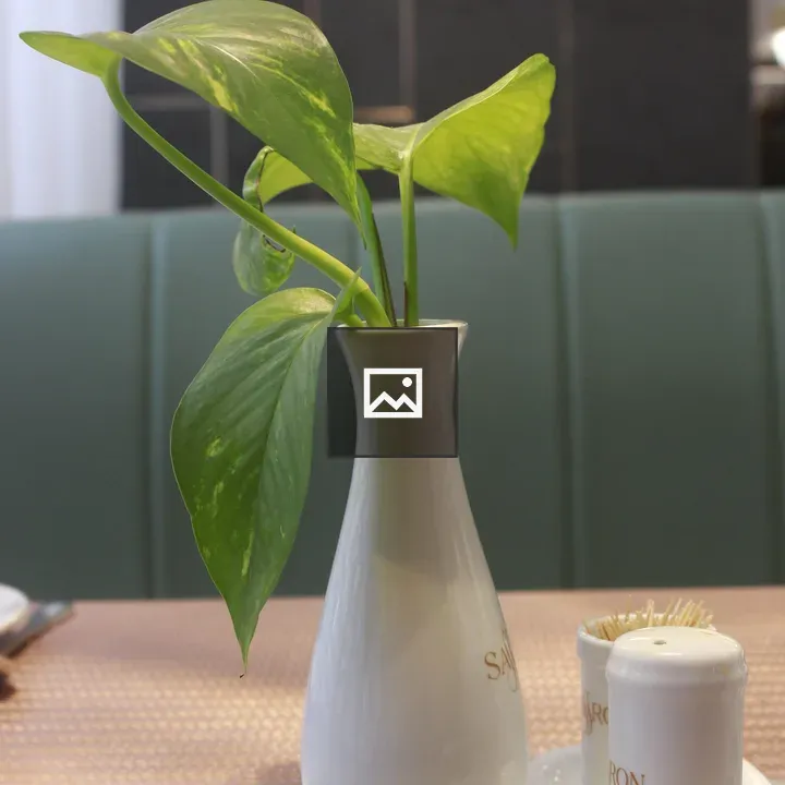 White vase with plant on table