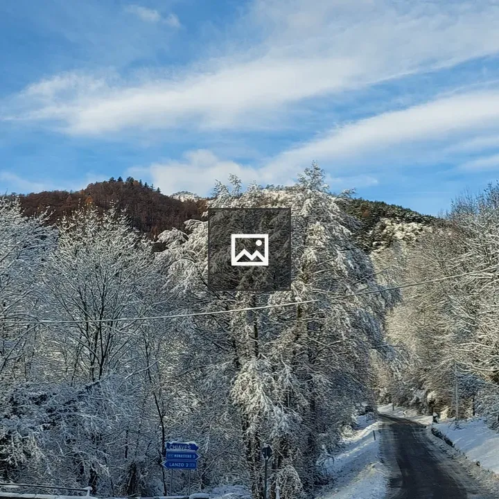 Mountain Road Curve