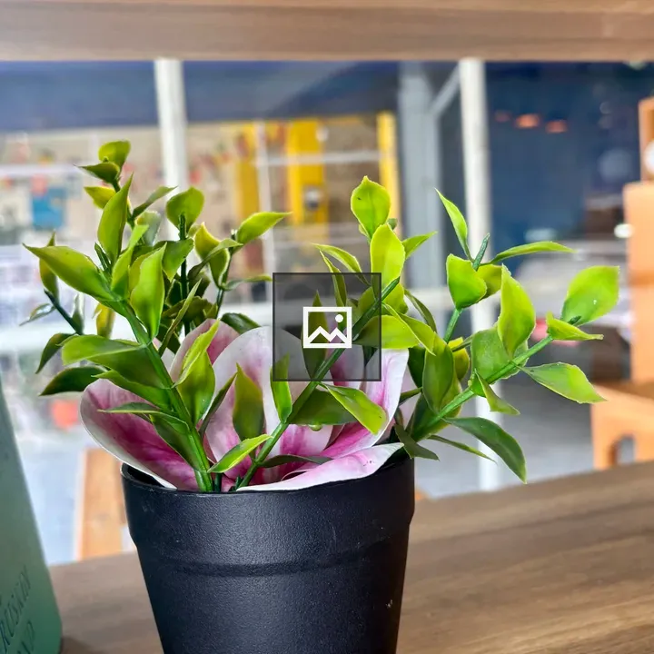 Flowerpot in a Houseplant Interior
