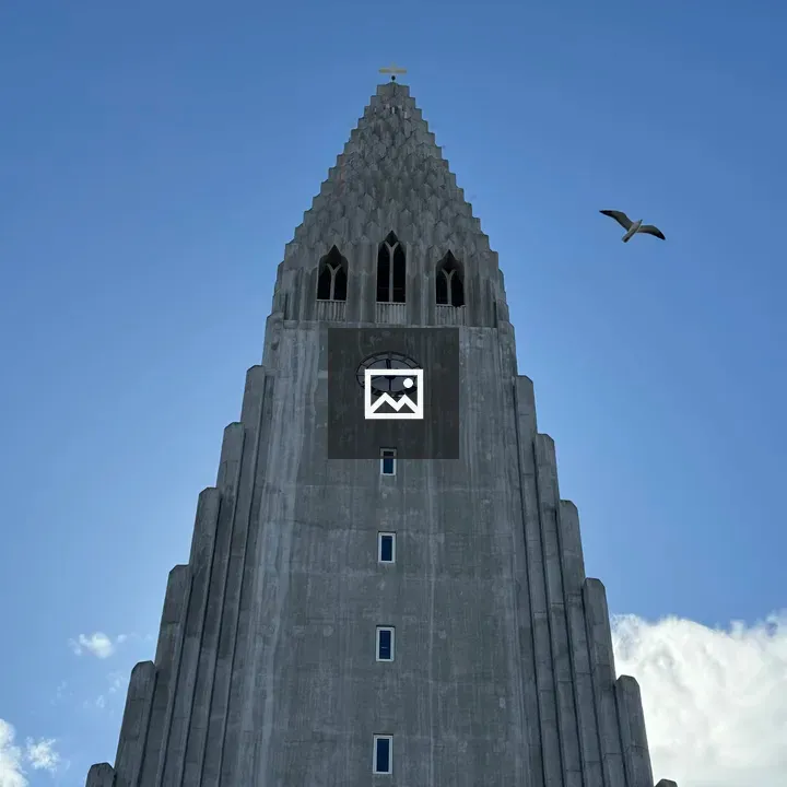 Seagull Over Hallgrimskirkja