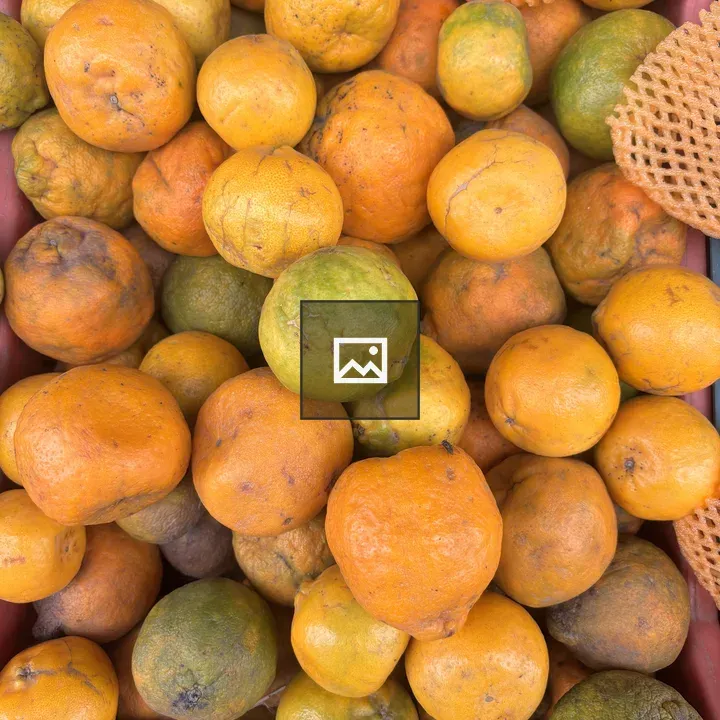 Oranges in a Basket