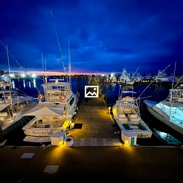 Blue hour marina with boats