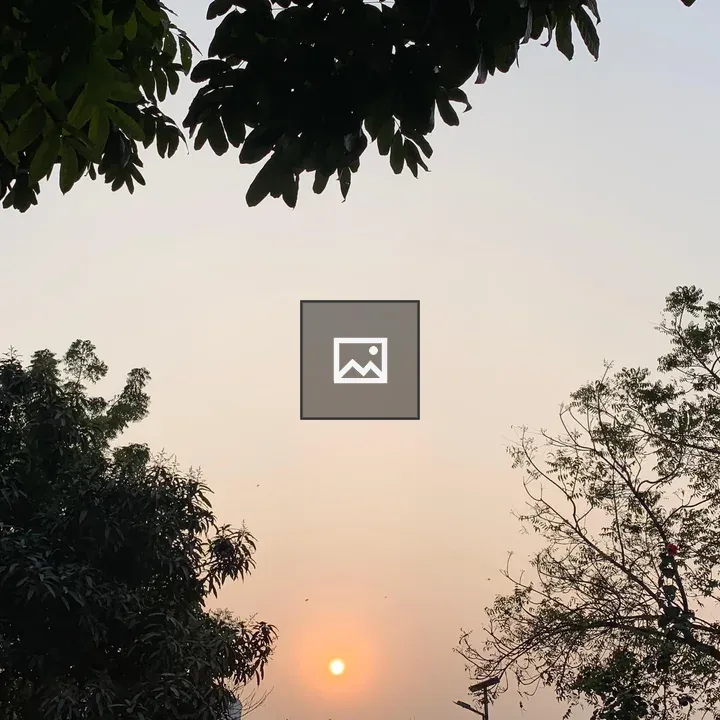 Orange Sunrise Over Trees