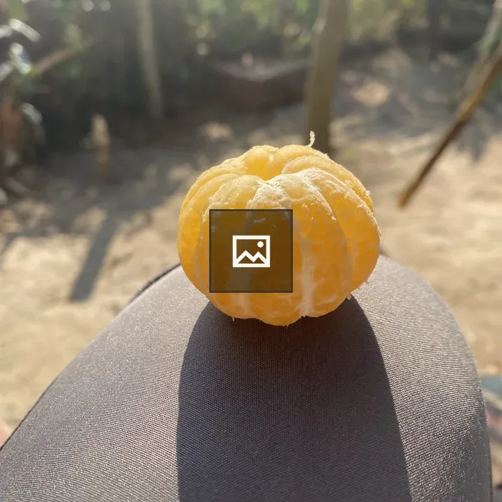 Peeled orange on sunlit surface
