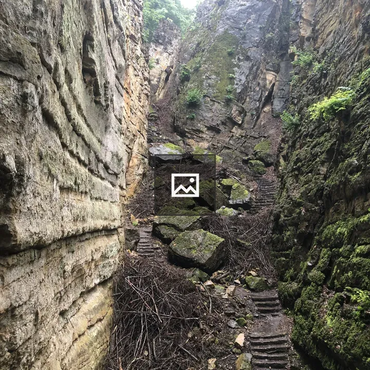 Path with stairs in forest