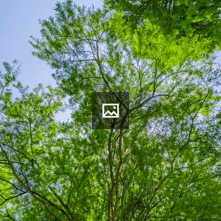 Fresh green season