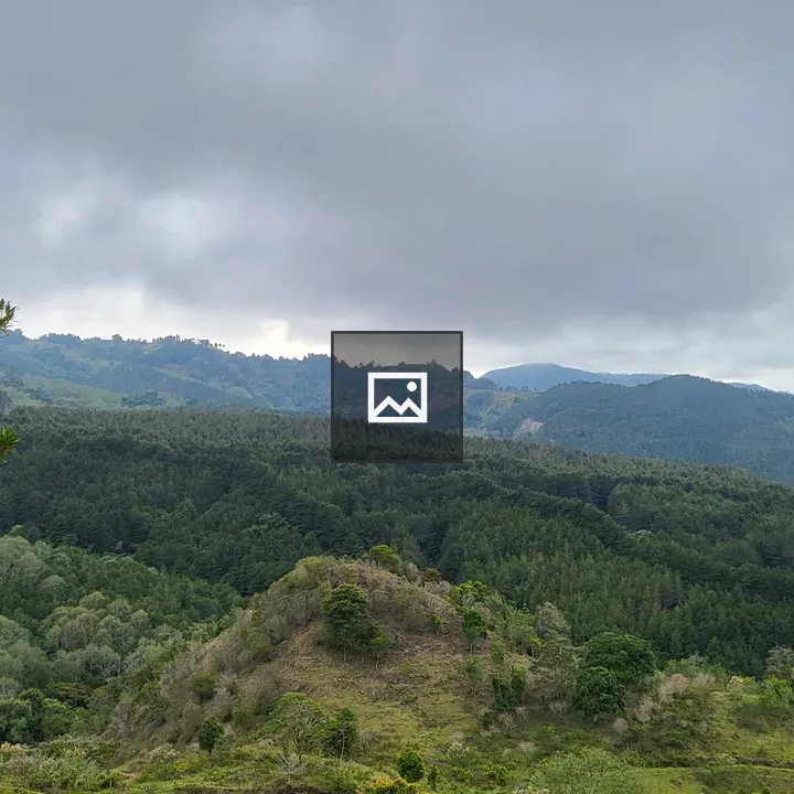 Mountains and Pine Landscape