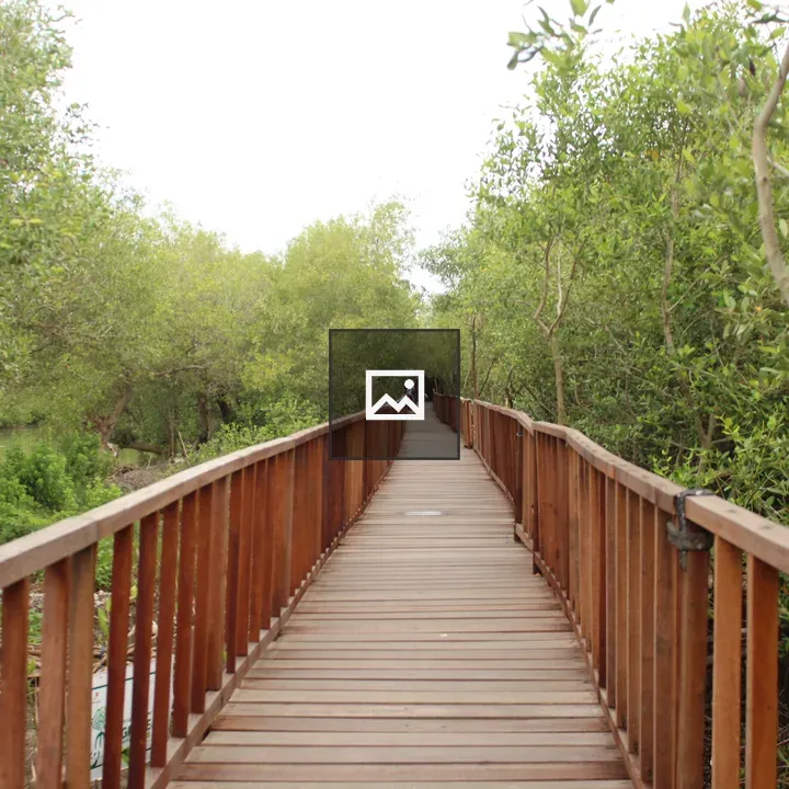 Mangrove with Bridge and Sky